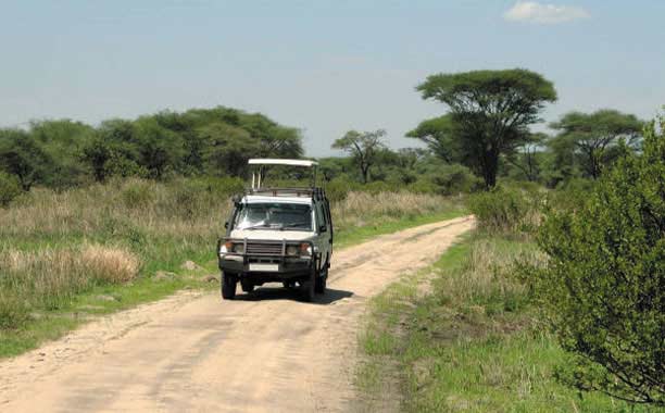 Game Drives
